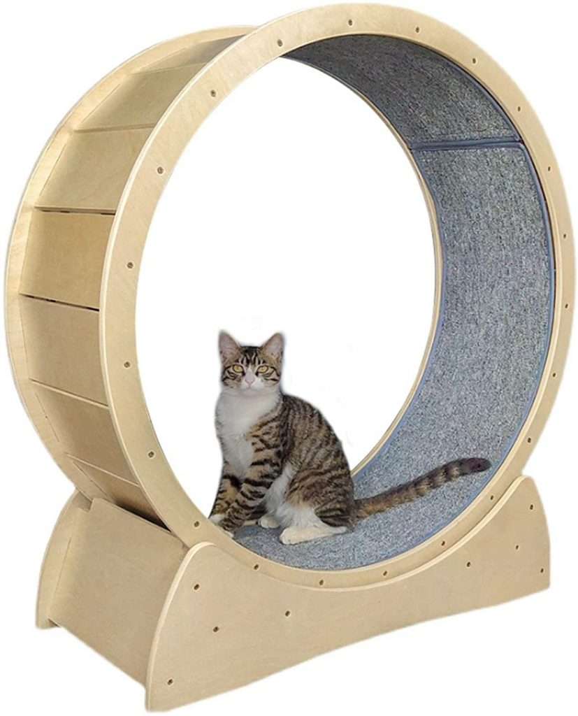 JOUDOO Cat Treadmill for weight loss