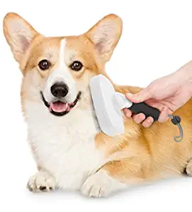 The 5 Best Dog Brushes for Grooming