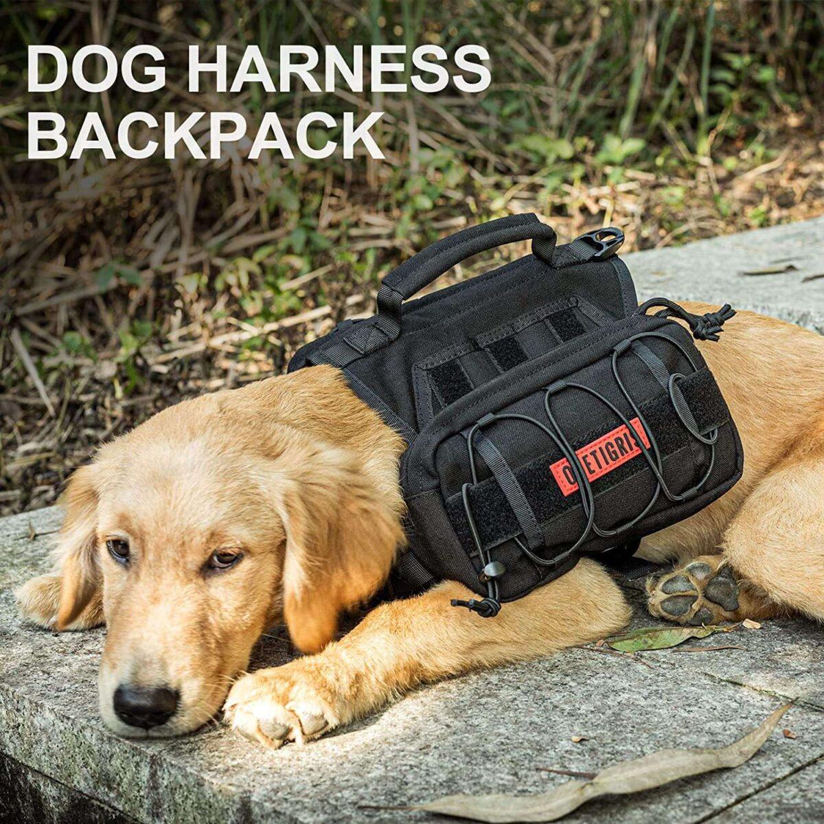 The Best Backpacks For Dogs -Top 5 best dog backpack