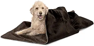 The 5 Best Blankets for Dogs: Buying Advice