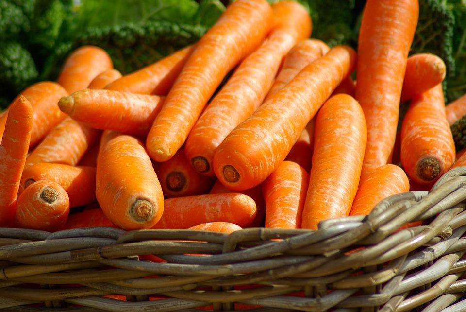 Can dogs eat Carrot? Are Carrots Good for Dogs?