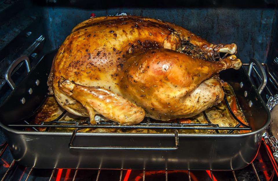 Can Dogs Eat Turkey? Is Turkey Safe For Dogs?