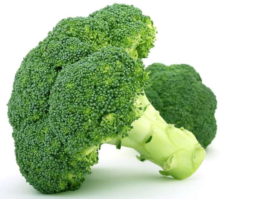 Can Dogs Eat Broccoli? Is Broccoli Safe For Dogs?