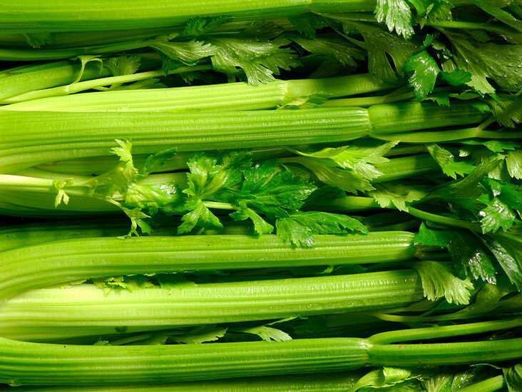 Can dogs eat celery ? Is Celery Good for Dogs?